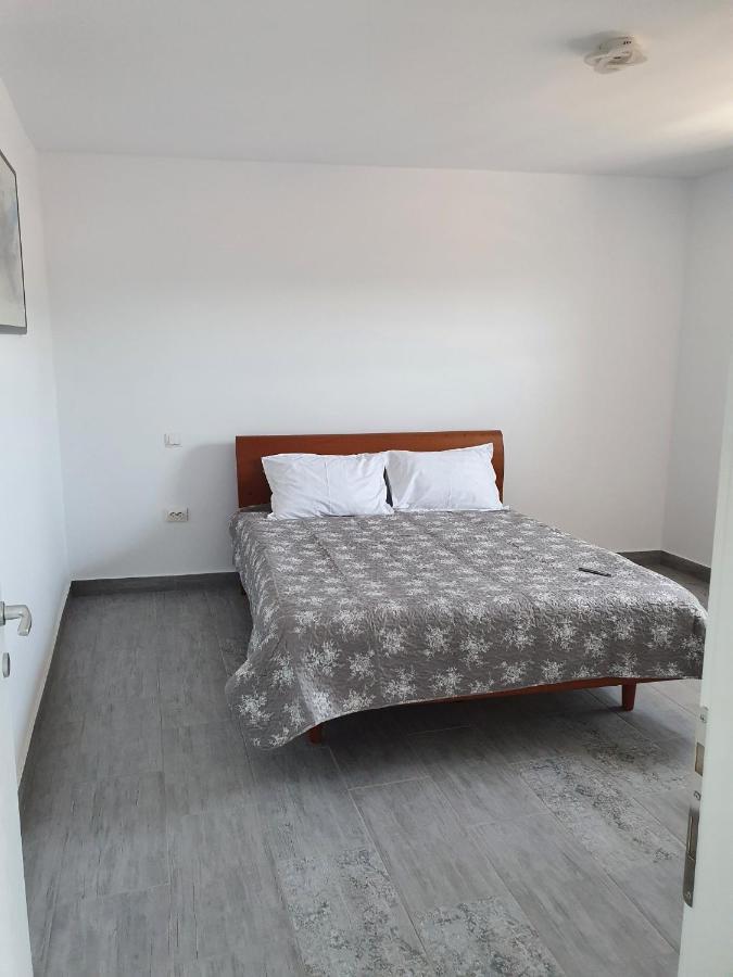Casa Musceleana Otel Campulung Dış mekan fotoğraf